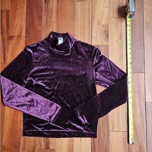 Velvet Long Sleeve Top - Purple
